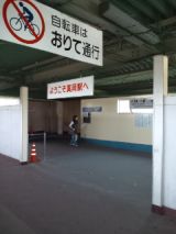 38675-1.jpg