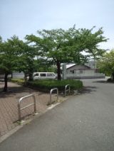 38679-3.jpg