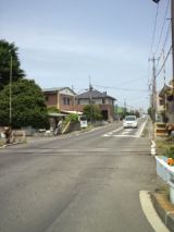 38679-5.jpg