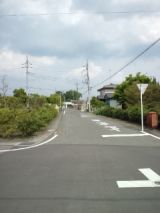 38687-5.jpg