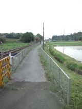 38693-1.jpg