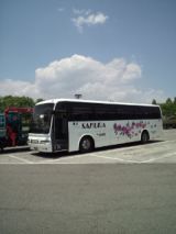 38742.jpg