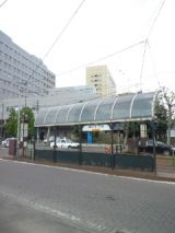 38762-2.jpg
