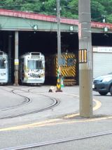 38769-5.jpg