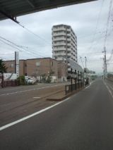 38774-2.jpg