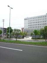 38784-3.jpg