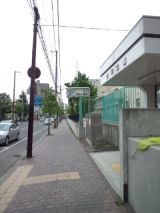38786-2.jpg