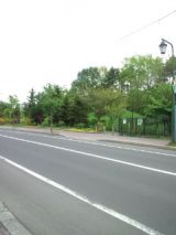 38786-3.jpg