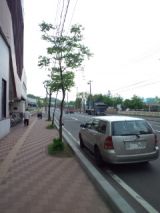 38792-4.jpg