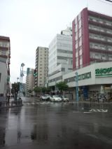 38793-3.jpg