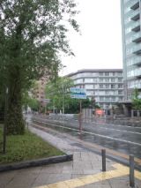 38794-3.jpg