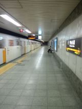 38808-5.jpg
