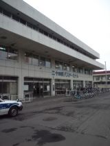 38810-2.jpg
