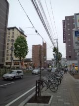 38814-5.jpg
