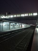 38821-1.jpg