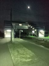 38831-2.jpg