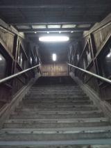 38831-3.jpg