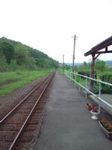 38837-1.jpg