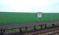 38858-2.jpg