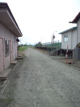 38858-4.jpg