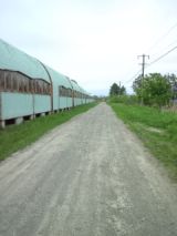 38858-5.jpg