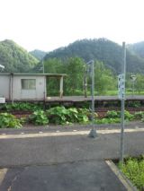 38863-2.jpg