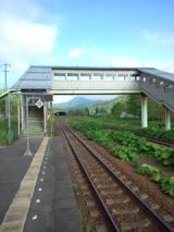 38863-4.jpg