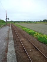38875-2.jpg