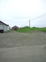38875-6.jpg