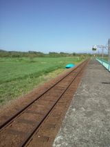 38891-1.jpg