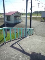 38891-2.jpg