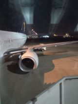 38920.jpg