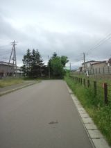 38958-5.jpg