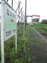 38961.jpg