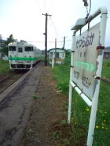 38976-8.jpg