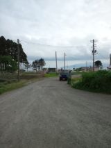 38987-5.jpg