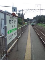 38987.jpg