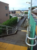 39024-1.jpg
