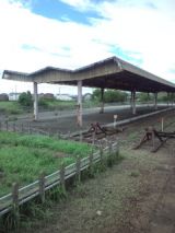 39029-8.jpg