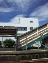 39031-6.jpg