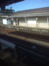 39055.jpg