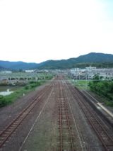 39081-2.jpg