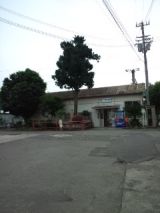 39086-6.jpg