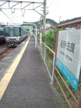 39095-7.jpg
