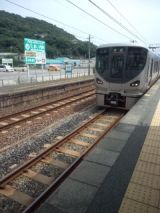 39099-4.jpg