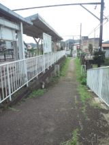 39103-2.jpg