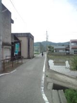 39103-5.jpg