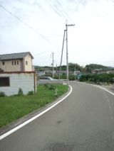39104-4.jpg