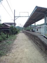 39106-3.jpg