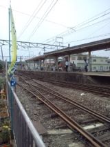 39107-3.jpg